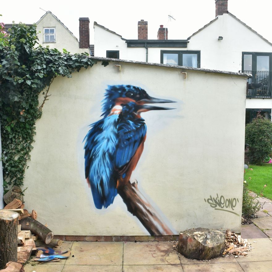 23331449_116560529116252_5619215980824553275_o