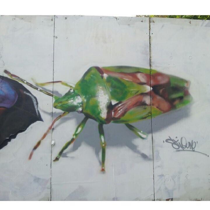 27459698_178193949619576_492423703208322522_n